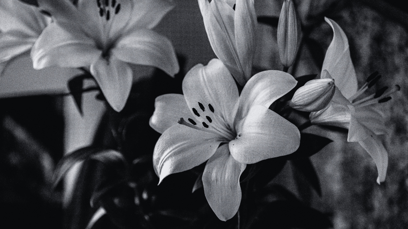 Flower Detail